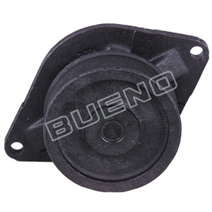 Water Pump 5010964AA