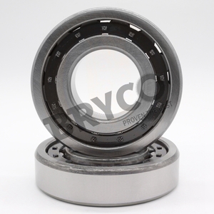 Cylindrical Roller Bearing NJ311