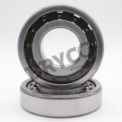 Cylindrical Roller Bearing NJ311