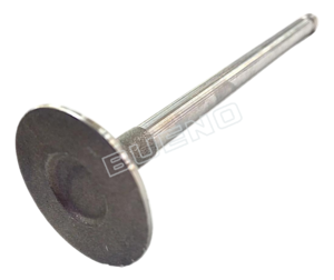 Valve Intake 22211-22003